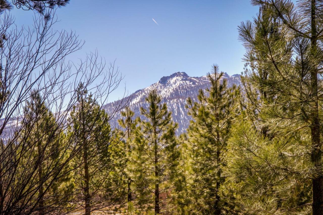 Cozy Seclusion Villa South Lake Tahoe Kültér fotó